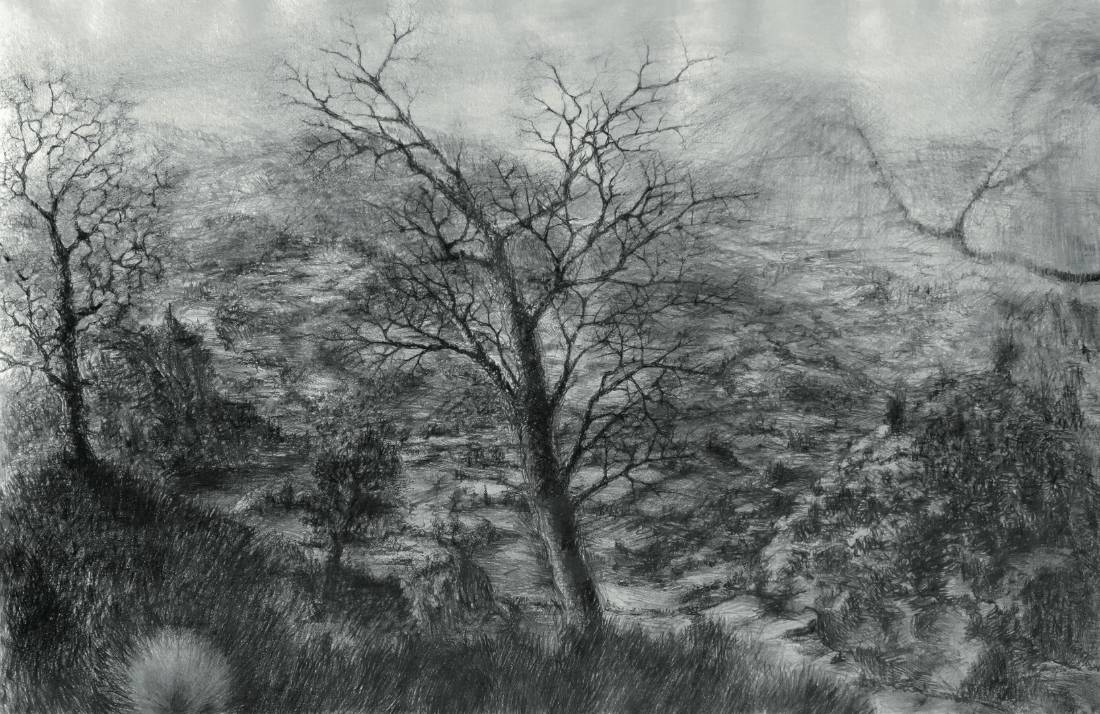 Danse macabre, Dessin (fusain) sur papier — Emmanuel Billon